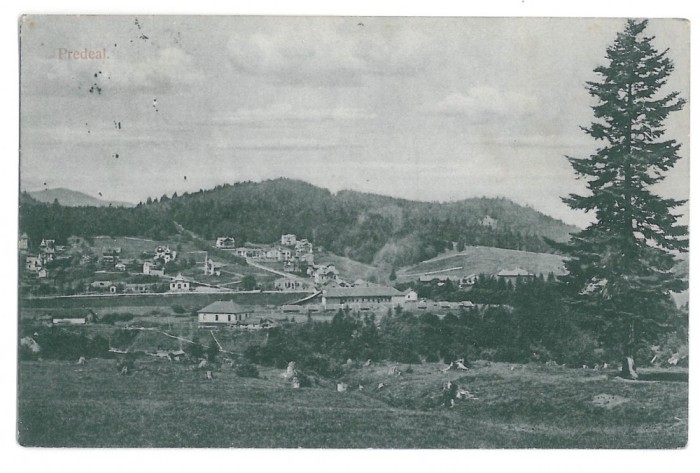3966 - PREDEAL, Brasov, Panorama - old postcard - used - 1906