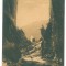 1889 - BISTRITA, Valcea, Defileul - old postcard - used - 1906