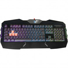 Tastatura A4Tech Bloody B254, cu fir, US layout, neagra, 4-infrared switch backlight, USB foto