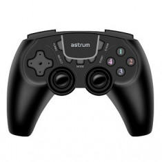 Astrum Analog Joypad GP210 cu Vibra USB 2.0 Negru