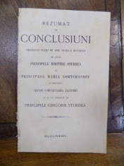 Rezumat de concluzii prezentat curtii de apel Bucuresti de catre Principele Dimitrie Sturdza si Principesa Maria Gortchacoff, Bucuresti foto