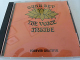 Guru Dev - Forever Grateful - cd -798