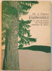 RASINOASELE IN ZONA DEALURILOR DIN SUBCARPATII ORIENTALI DE MIJLOC de GH. A. POPESCU, 1984 foto