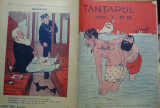 Revista de umor Tantarul , nr. 16/1910 , articole de scriitor evreu Ion Pripeagu
