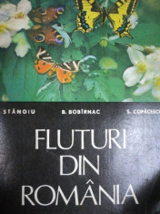 FLUTURI DIN ROMANIA- I. STANOIU, B. BABIRNAC SI S.COPACESCU, CRAIOVA 1979 foto