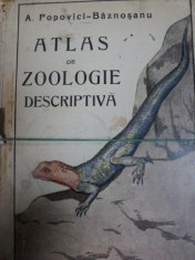 ATLAS DE ZOOLOGIE DESCRIPTIVA - A. POPOVICI BAZNOSANU foto