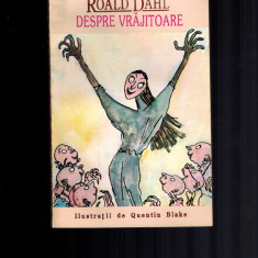 Roald Dahl - Despre vrajitoare / Vrajitoarele, traducere buna!