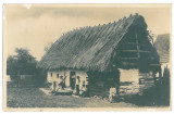 4016 - ORLAT, Sibiu, Country Life - old postcard, real PHOTO - unused