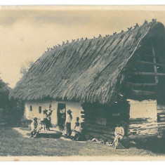 4016 - ORLAT, Sibiu, Country Life - old postcard, real PHOTO - unused
