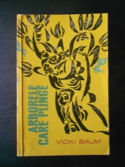 VICKI BAUM - ARBORELE CARE PLANGE
