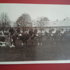 Fotografie Școala cavalerie