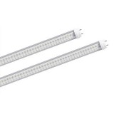 Astrum Tub Led T826 8W(14W) Soclu T8 600mm