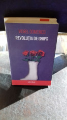 Revolutia de ghips - Viorel Domenico foto