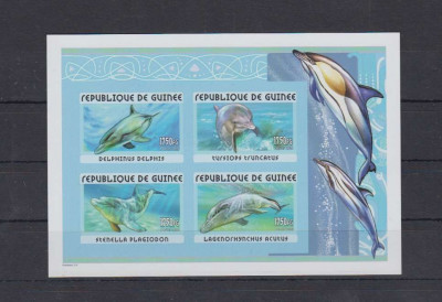 GUINEA 2001 FAUNA MARINA DELFINI NEANTELAT foto