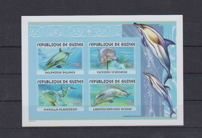 GUINEA 2001 FAUNA MARINA DELFINI NEANTELAT