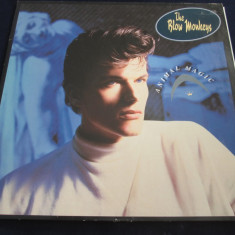 The Blow Monkeys - Animal Magic _ vinyl,LP,album _ RCA (UK)
