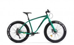 Bicicleta Pegas Suprem FX 17 Verde Smarald foto