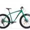 Bicicleta Pegas Suprem FX 17 Verde Smarald