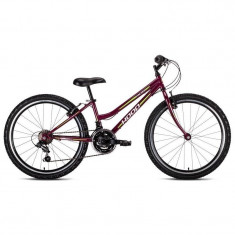 Bicicleta copii Hoop Hacker 24 Lady 2016 foto