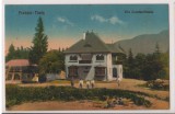CPI B 10291 CARTE POSTALA - PREDEAL. VILA CONSTANTINESCU, Necirculata, Fotografie