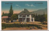 CPI B 10291 CARTE POSTALA - PREDEAL. VILA CONSTANTINESCU