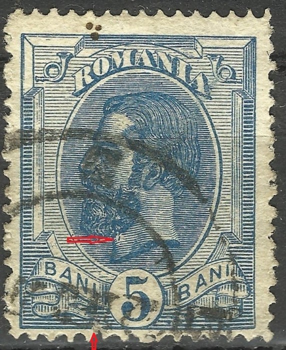 VARIETATE 5 BANI SPIC DE GRAU