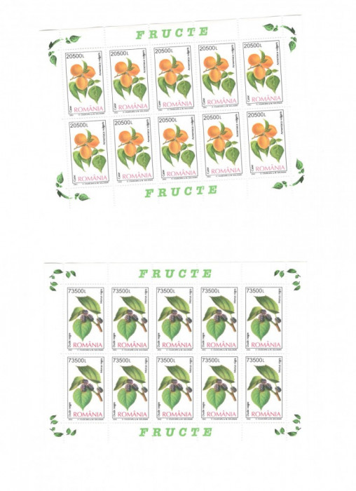 TIMBRE ROMANIA 2002 set 4 blocuri fructe rare