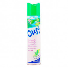 Brise - OUST purificador de aire vaporizador frescor verde 300 ml foto