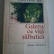 Constantin Toiu - Galeria cu vita salbatica