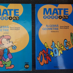 MATEMATICA ALGEBRA GEOMETRIE CLASA A VIII A PARTEA 1 +2 NEGRILA