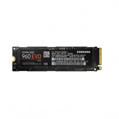 SM SSD 1TB 960EVO M.2 MZ-V6E1T0BW foto