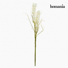 Floare Spuma Alba by Homania foto