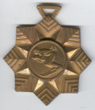 SCHI ALPIN - CAMPIONAT NATIONAL - Medalie Anul 1970 - Rara