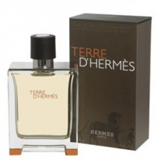 Hermes Terre D&amp;#039;Hermes EDT Tester 100 ml pentru barbati foto