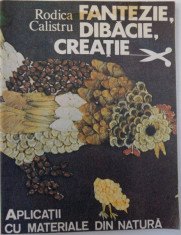 FANTEZIE, DIBACIE, CREATIE - APLICATII CU MATERIALE DIN NATURA de RODICA CALISTRU, 1991 foto