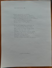 Poezie olografa pe coala mare, pentru expozitie literara, manuscris a lui Barbu Cioculescu ; Barbatul staruitor