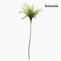 Floare Spuma Verde by Homania foto