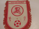 Fanion fotbal echipa din Grecia