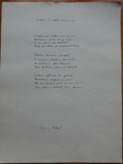 Poezie olografa pentru expozitie, manuscris al poetei Monica Pillat, nepoata scriitorului și poetului Ion Pillat și a pictoriței Maria Pillat - Brateș