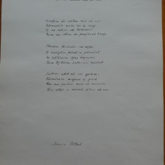 Poezie manuscris a lui Monica Pillat