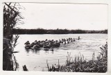 Carte Postala Delta Dunarii: Pelicani, BNK, Uzata - Dobrogea Romania (Post 1918)