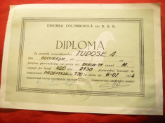 Diploma - Uniunea Columbofila RSR 1974 foto