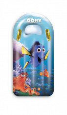 Finding Dory- Placa de inot foto