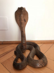 Sarpe cobra,sculptura in lemn,Tailanda foto