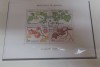 MONACO 1981 &ndash; FRUCTE IN 4 ANOTIMPURI, bloc stampilat, D13