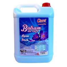 CLORET BALSAM RUFE 5L ALPINE FRESH foto