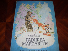 CALIN GRUIA - PADUREA MARGARITEI (carte pentru copii, rara, cu ilustratii ) foto