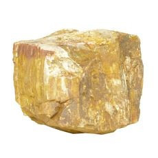 Pietre de Acvariu Petrified Stone M 11 x 12 x 8 cm foto