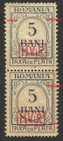 VARIETATE PERECHE TAXA DE PLATA SUPRA. MVIR IN CASETA 1918 MNH, Nestampilat