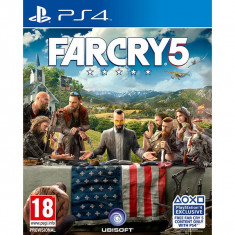 Far Cry 5 Ps4 foto